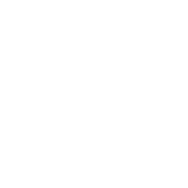 Business Coaching Sessions