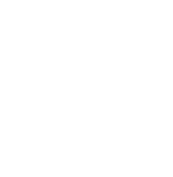 Strategic Business Leadership (SBL)®